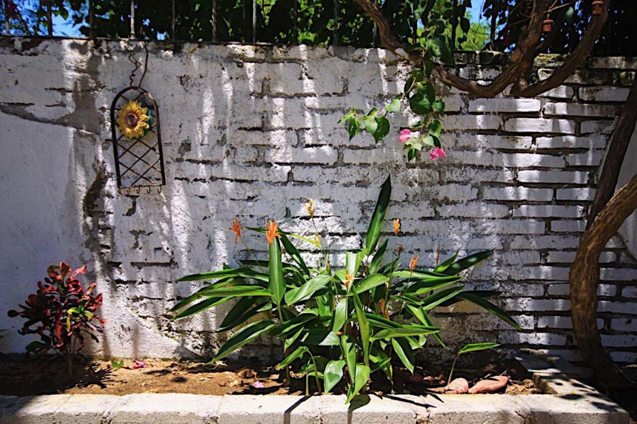 Casita Piedra Apartment Puerto Escondido  Ngoại thất bức ảnh